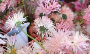 HC&G’s VIP Tabletop Competition at the Hampton Classic 2025