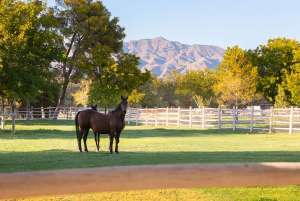Check Out a $17M Santa Fe-Style Equestrian Estate in Las Vegas with Amenities Humans and Horses Will Love