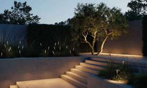 In the Garden This September