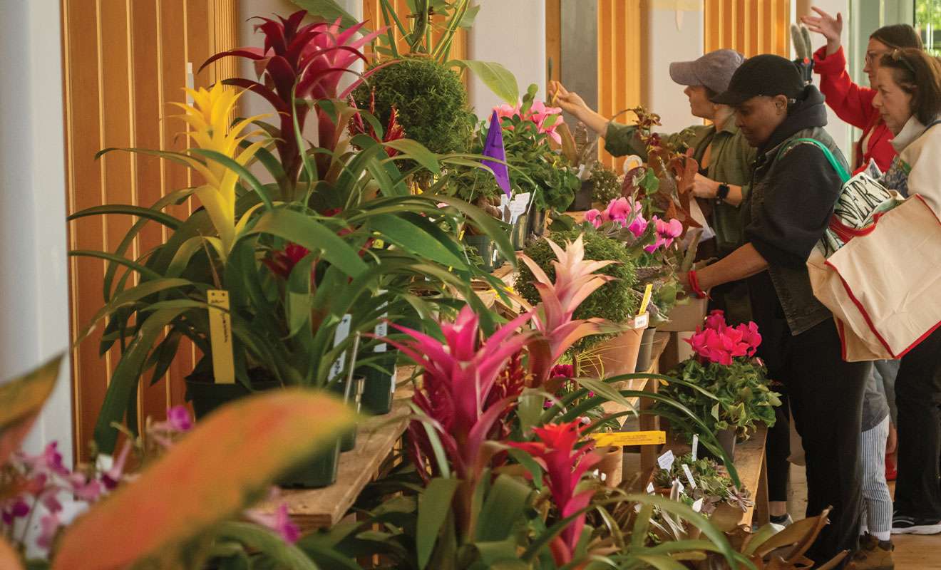 In the Garden This Fall