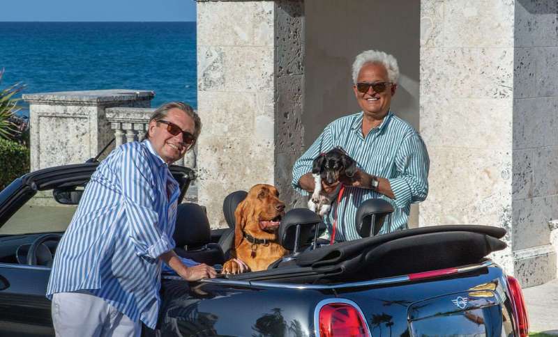 Eight Creatives and Their Canines