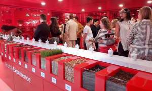 Illy Pop-Up in New York City