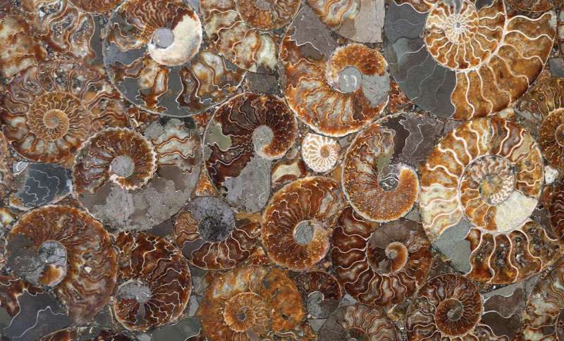 Shakeup Your Surfaces With These Four Picks for Inside and Out