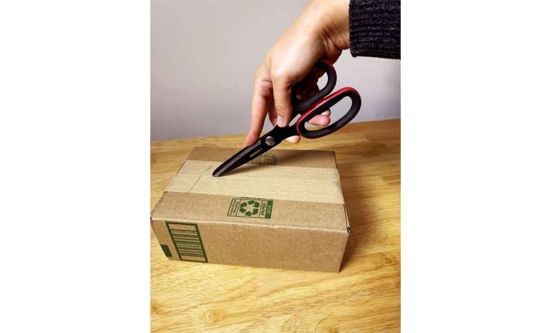 C&G FYI: November 5, 2025