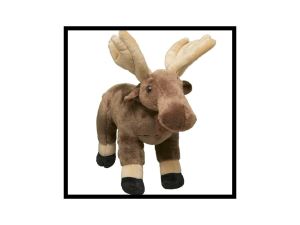 C&G FYI: December 23, 2025