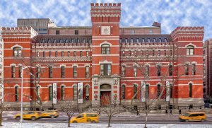 Last Night, Young Collectors Gathered at The Winter Show