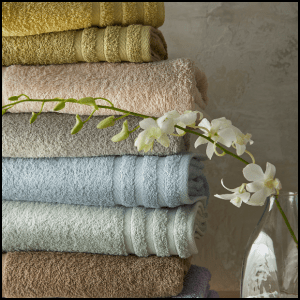 C&G FYI: February 23, 2026