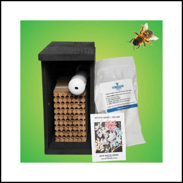 C&G FYI: April 17, 2026