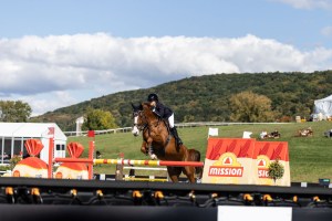 Highlands Cup Horse Show Brings World-Class Jumping to the Hudson Valley