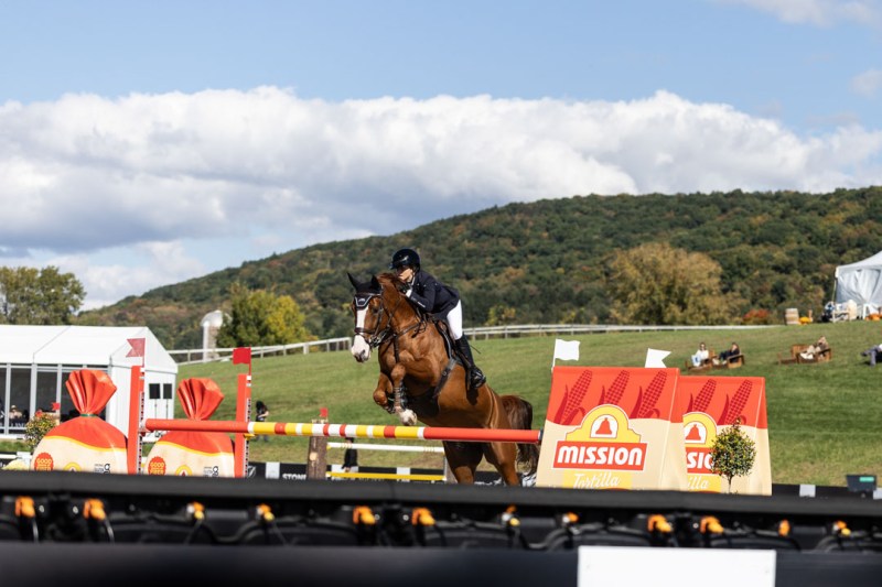 Highlands Cup Horse Show Brings World-Class Jumping to the Hudson Valley