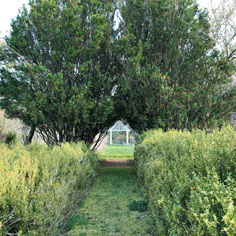 The secret history of the Hamptons’ Sylvester Manor