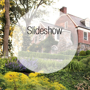 GALLERY A Verdant Outdoor Oasis on the Connecticut Shoreline Takes Shape Thanks