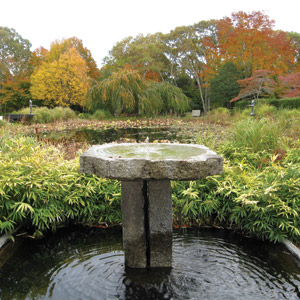 Working Autumn’s Full Glory into the Landscape