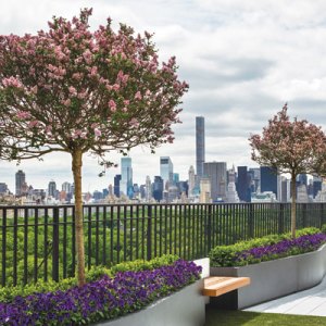 The 2016 NYC&G IDA Winners: Garden Design