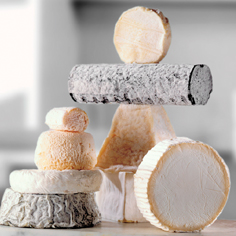 Prepare a delicious cheese board paired with the perfect bubbly