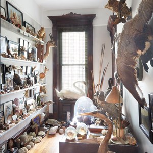 Tour a Brooklyn Brownstone Featuring an Ode to Collectables
