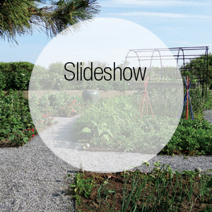 A Veggie Patch Should Be a Natch For Any Hamptons Green Thumb