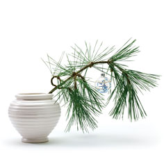 Holiday Cheer Shopping Gallery