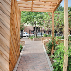 A Garden Grows in Brooklyn