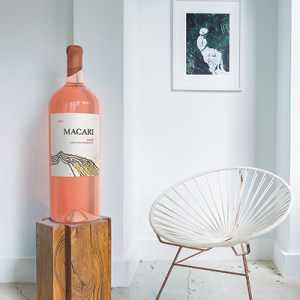 Everything You Need to Know About Wine in the Hamptons Right Now