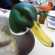 Just Ducky Photo Gallery