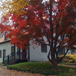 Pick of the Crop: a few of our favorite fall listings