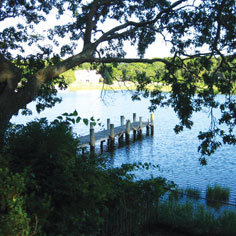 Deeds and Dont&rsquo;s