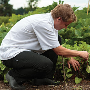 The Kitchen Gardens Steps Into the Spotlight at Some of the World's Most Exceptional Hotels