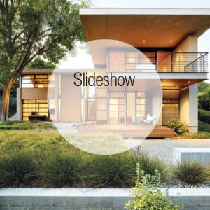 Step Inside a Nature-Inspired Modern Stanford Home