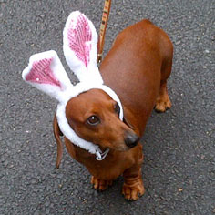 Easter Parade