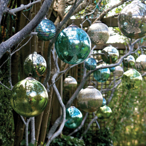 Holiday Reflections