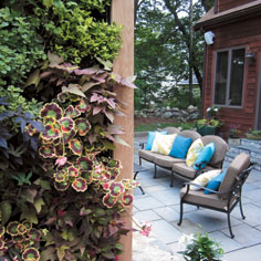 Green Initiatives