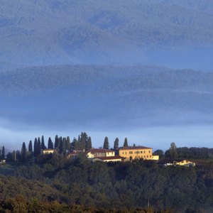An In-Depth Look at the Enticing Brunello di Montalcino