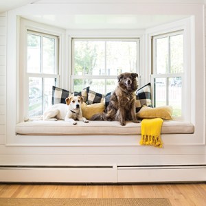 Take a Tour of Fiona Leonard’s Animal-Loving Home