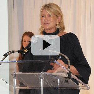 Highlights from the 2017 HC&G IDAs