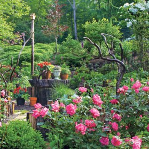 Tour an Enchanting Woodland Garden in Greenwich
