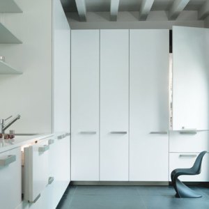 American Icons: Sub-Zero Wolf