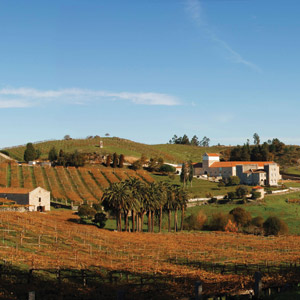 A Pilgrimage Through the R&iacute;as Baixas Wine Region Leads to a Crisp Summer White