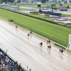 Welcome to Derby day