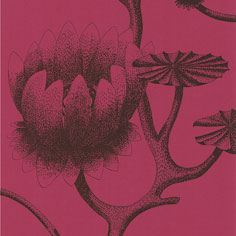 Wallpaper Takes the Lead