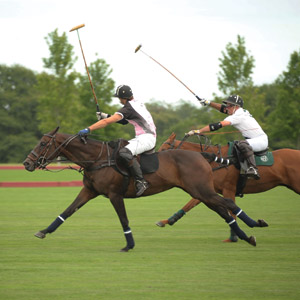 Stable Investment? Bridgehampton's Two Trees Farm Remains on the Market