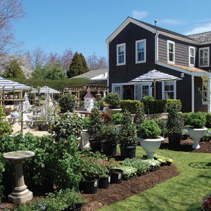 Here's Your Guide to the New Shops and Restaurants Opening in the Hamptons This Summer