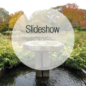 Working Autumn's Full Glory into the Landscape