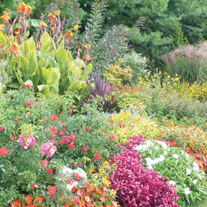 Father and Son Charlie and Silas Marder on the Need for Organic Gardening