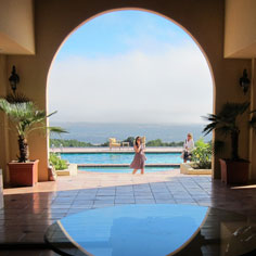 Rattlesnakes in Sonoma