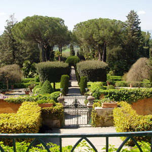 Imbibing in High Style