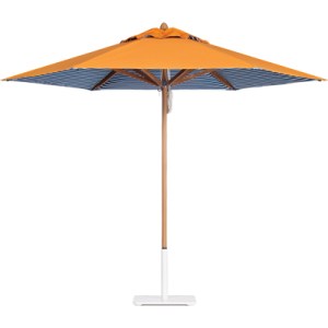 Cutting-Edge Objects to Buy and Love