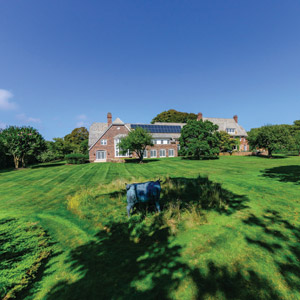 A Trip Down Memory Lanes