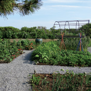 A Veggie Patch Should Be a Natch For Any Hamptons Green Thumb