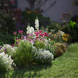 How Does Your Garden Grow?